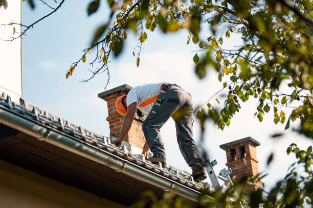 Best Commercial Roofing Services  in Robbins, IL