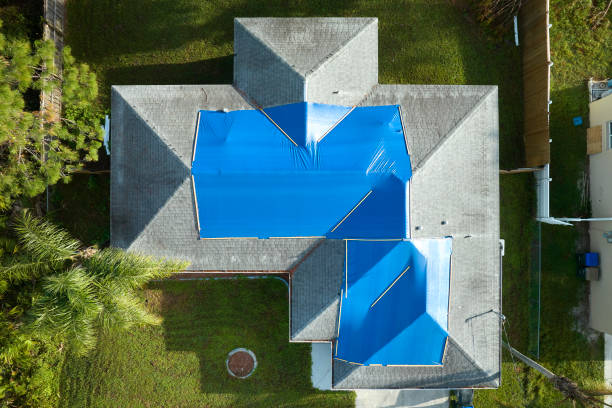 Best Roof Insulation Installation  in Robbins, IL