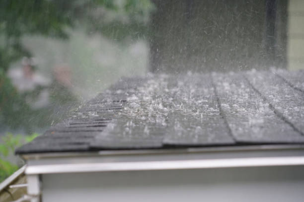 Best Asphalt Shingle Roofing  in Robbins, IL