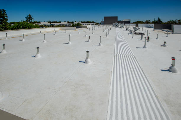 Best 4 Ply Roofing  in Robbins, IL